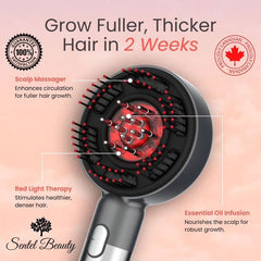 Scalp Massage Brush with Oil Applicator With (FREE Mint Scalp Oil)